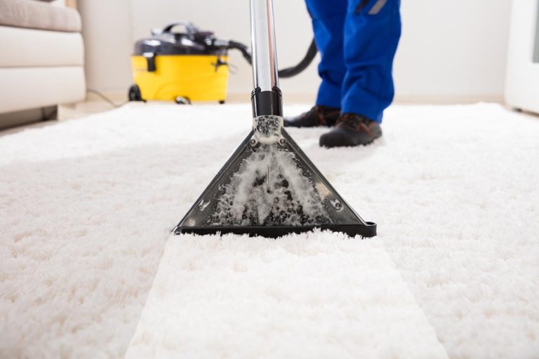 Plant-Based Solutions For Carpets