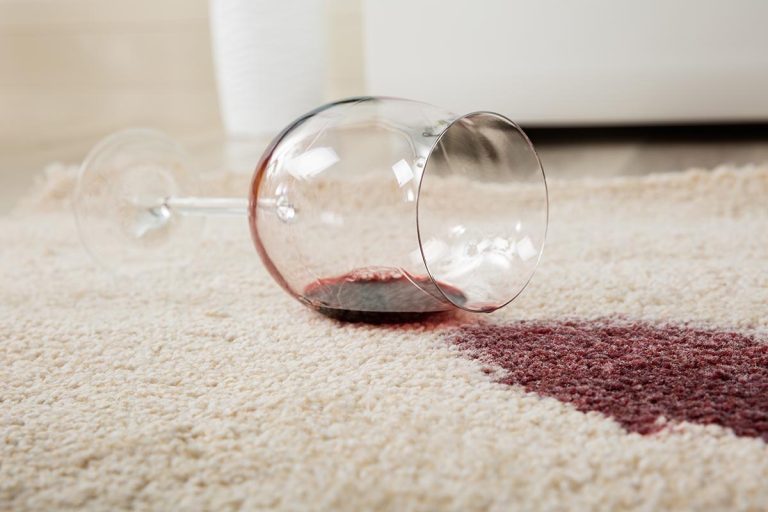 Professional Carpet Stain Removal Services