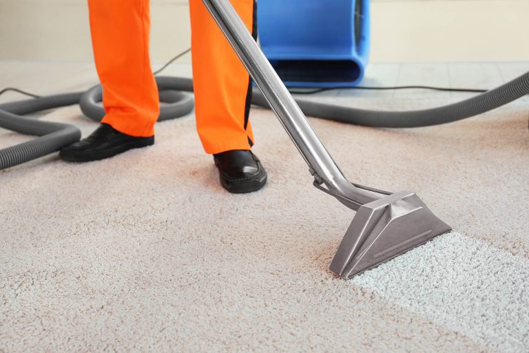 Why Professional Carpet Cleaning Is a Landlord's Best Friend