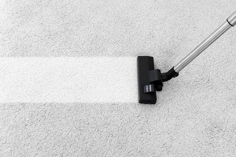 Carpet Cleaning Vs. Replacement