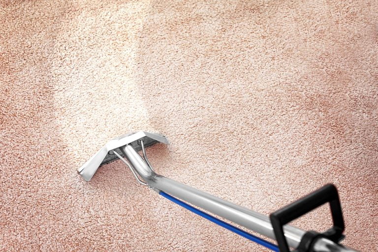 Pre-Move In or Move Out Carpet Cleaning Specials