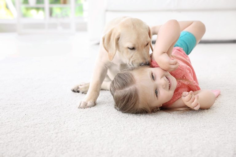 Family safe carpet cleaning
